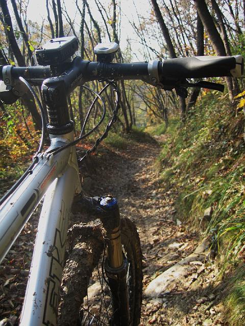 bici